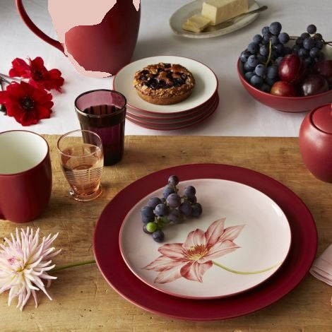 Noritake Raspberry Colorwave Rim Dinnerware Set